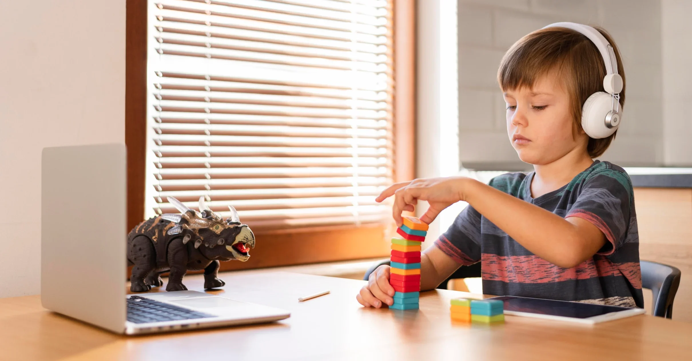 Understanding Learning